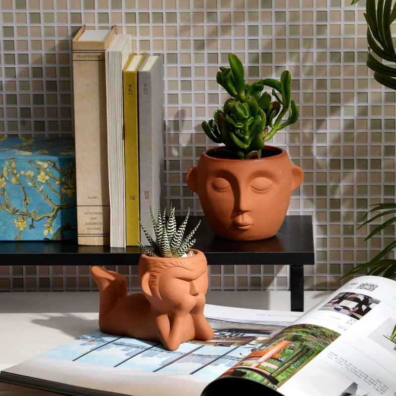 Small Face Terracotta Planter Pots for Indoor Table Succulent Plants