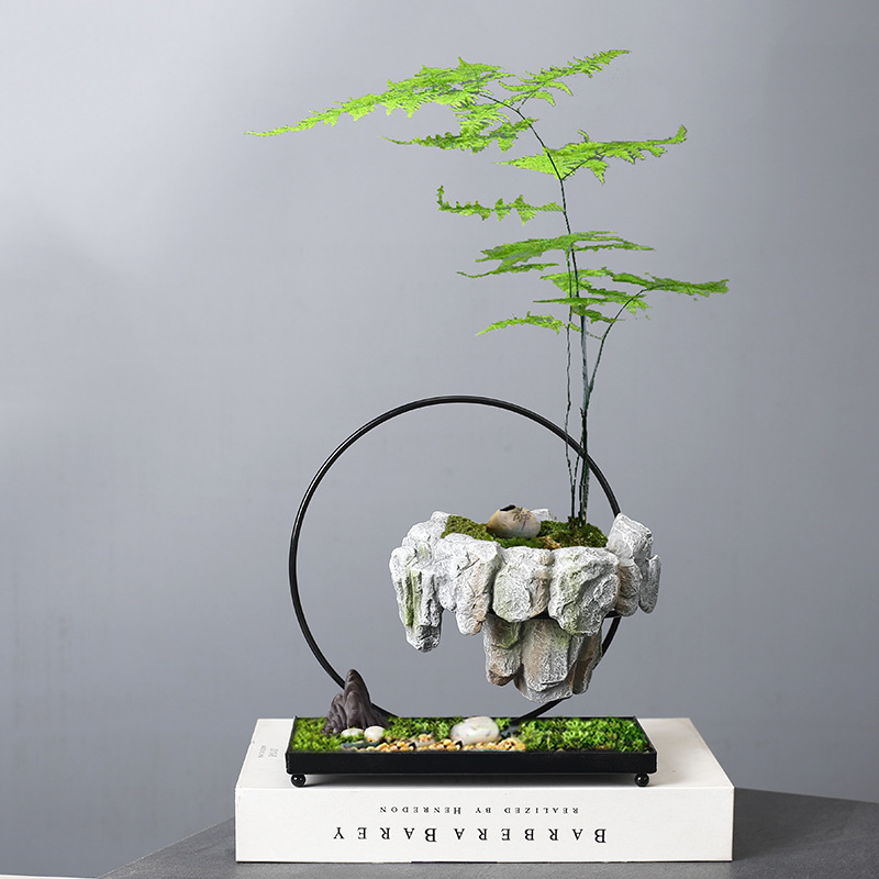 Wenzhu succulent pot, fortune tree, bonsai iron tree, rice bamboo, indoor good breeding, floating island, suspended iron art, micro landscape basin