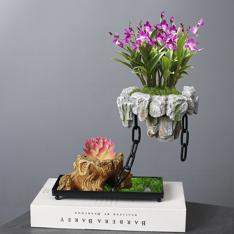 Wenzhu succulent pot, fortune tree, bonsai iron tree, rice bamboo, indoor good breeding, floating island, suspended iron art, micro landscape basin