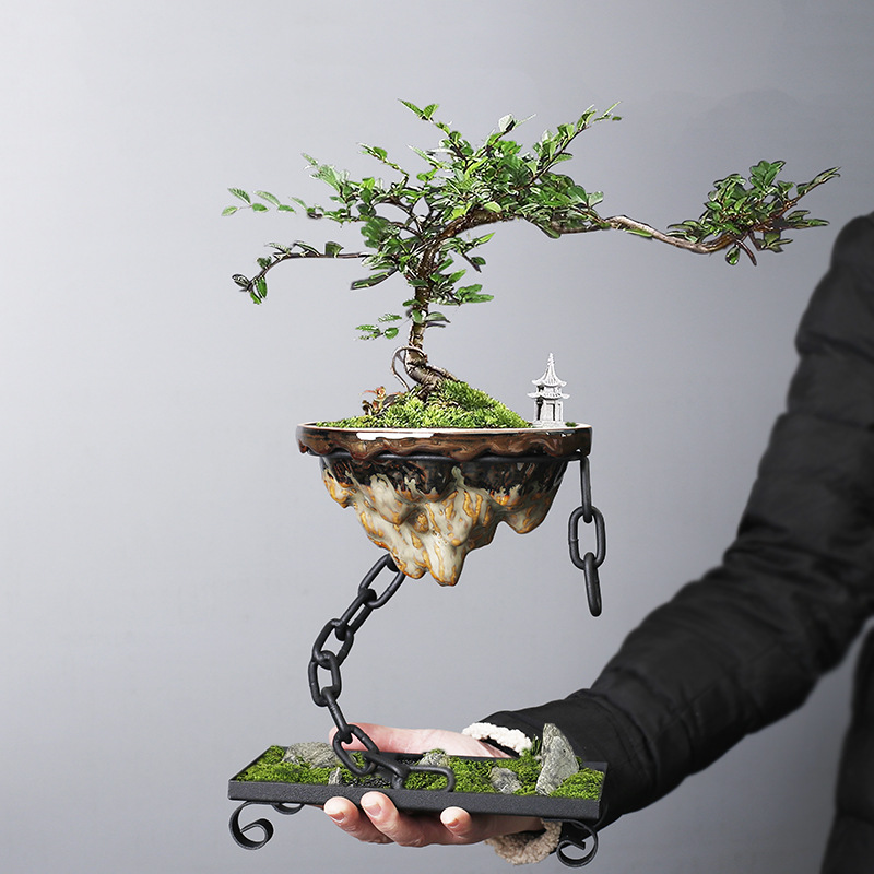 Iron hanging decorations, iron chains, suspended living room decoration, asparagus, succulent moss balls, landscape basin