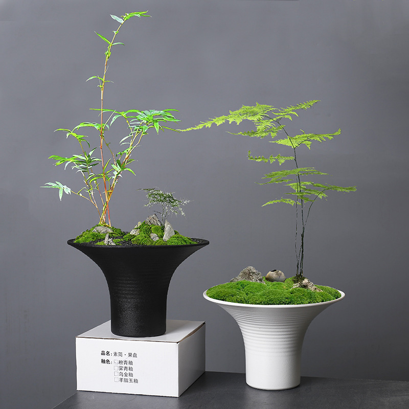 Modern Quiet Style Wealth Tree, Wenzhu Landscape, Flower Pot, Ceramic, Retro Indoor Desktop, Potted Flower Ware Wholesale