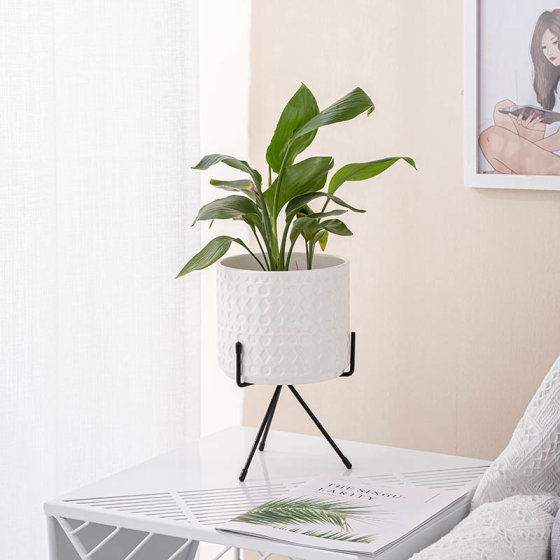 Plant Pot Mid Century Planter with Stand Ceramic Pots with Drainage Plug and Wood Stand for Large Plants Tree Flower Indoor Outdoor White